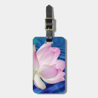 Delicate Lotus flower and meaning