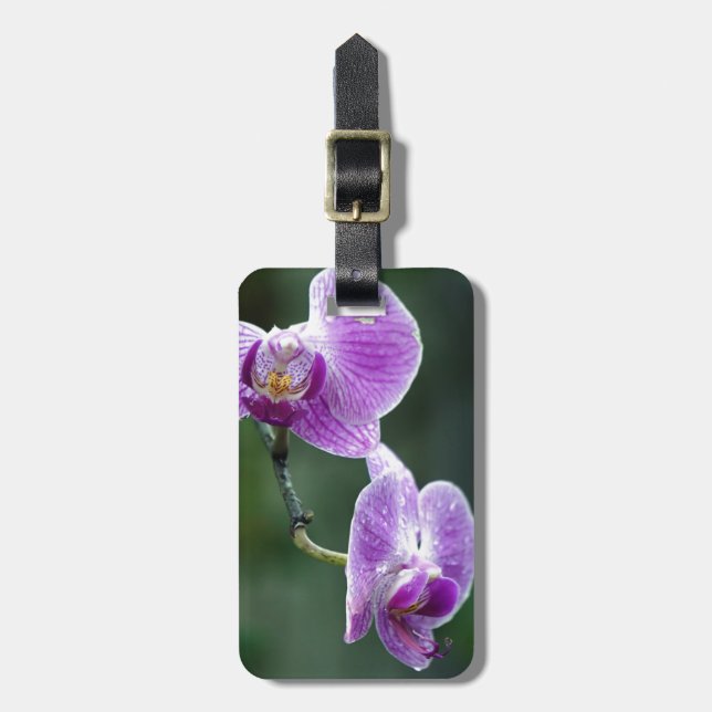 Delicate Luggage Tag (Front Vertical)