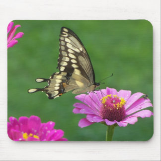 Delicate Monarch Mouse Pad