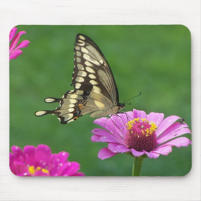 Delicate Monarch Mouse Pad (Front)