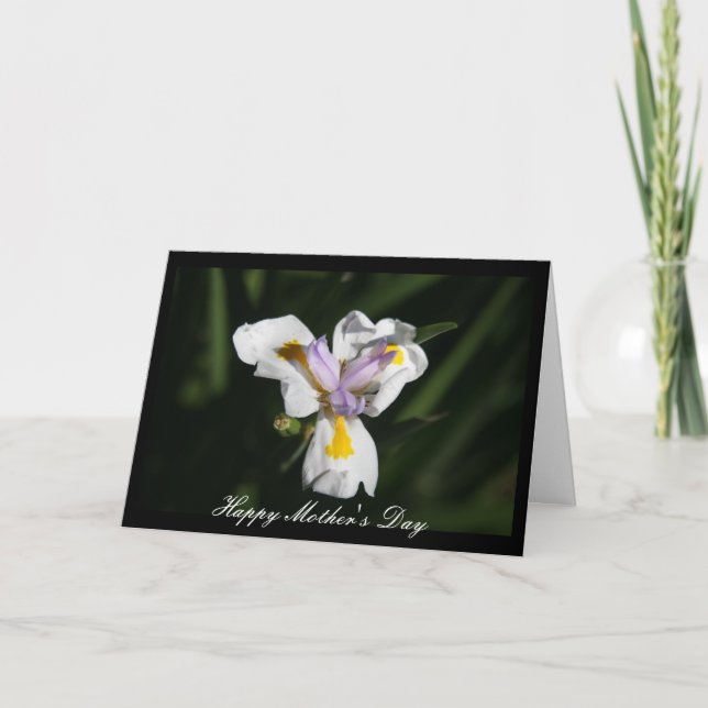 delicate mother's flower card (Front)