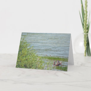 Delicate Movement Card