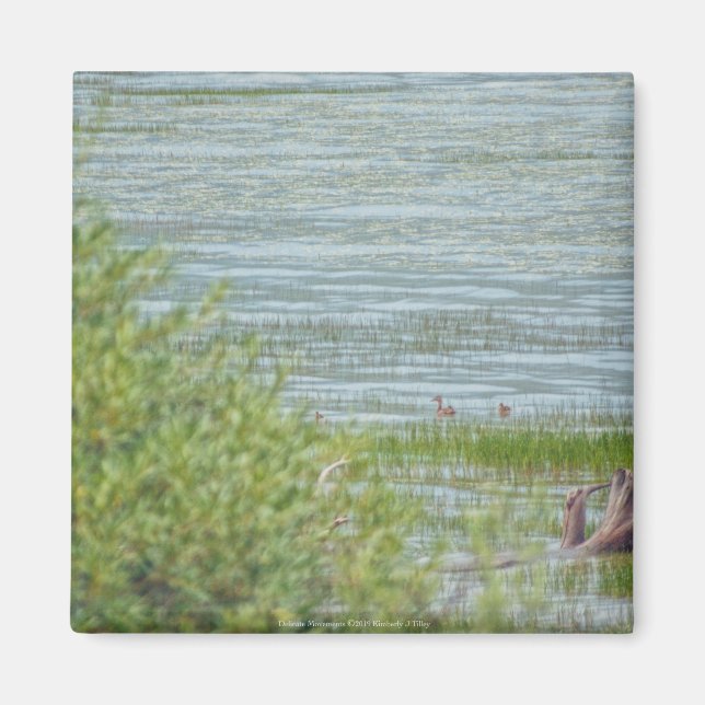 Delicate Movement Magnet (Front)