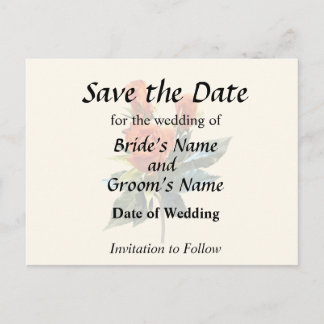 Delicate Orange Rosebuds Announcement Postcard