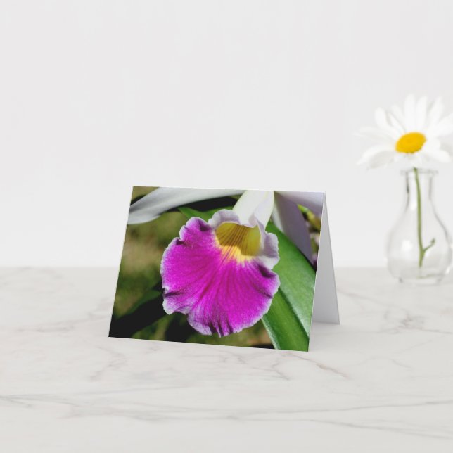 Delicate Orchid Flower Photography Note Card (Small Plant)