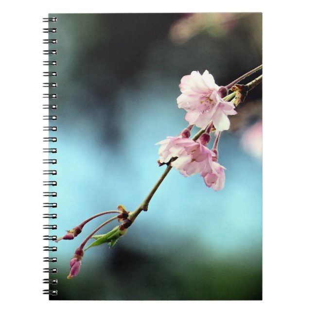 Delicate pink floral and blue - notebook (Front)