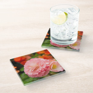 Delicate pink flower after the rain glass coaster