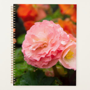 Delicate pink flower after the rain planner