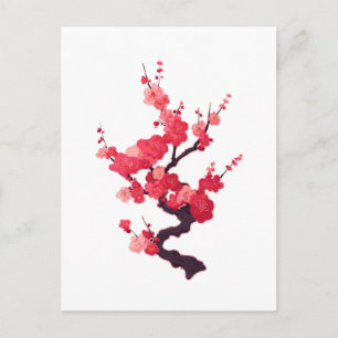 Delicate Pink Japanese Cherry Tree Twig Postcard