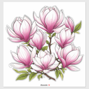Delicate Pink Magnolia Flowers On Branch