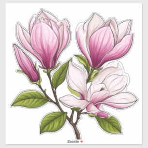 Delicate Pink Magnolia Flowers On Branch