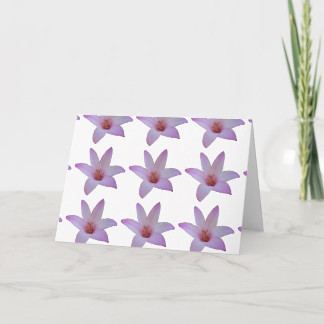 Delicate pink rain lilies on a blank card (Front)