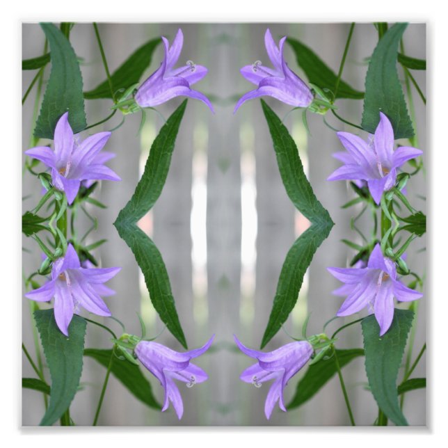 Delicate Purple Lily Flowers Mirror Abstract 8x8 Photo Print (Front)