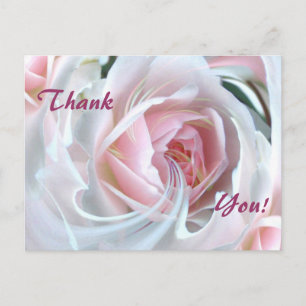 Delicate rose with marble effects postcard