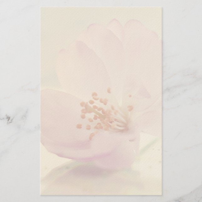 Delicate Soft Pink Cherry Blossom Flower Stationery (Front)
