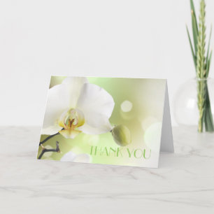 Delicate Spring White Orchids Thank You Card