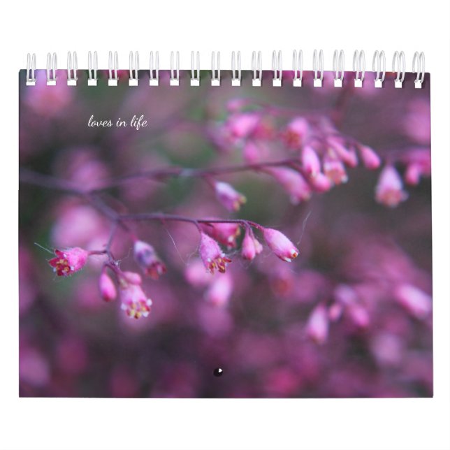 Delicate Summer Flowers Calendar (Cover)