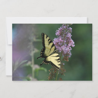Delicate Touch Of A Butterfly - Flat Greeting Card
