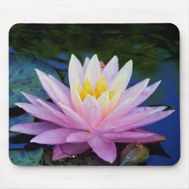 Delicate Waterlily Mousepad (Front)