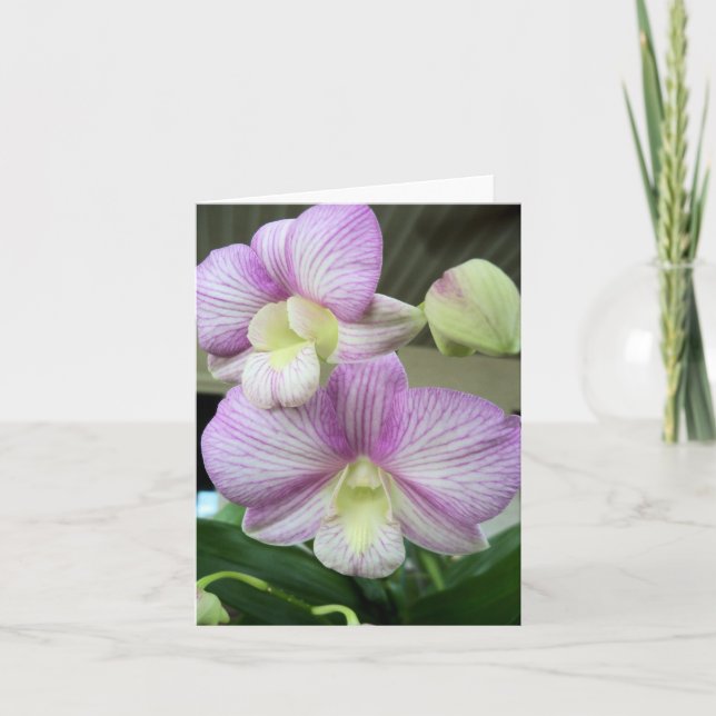 Delicate white and purple orchid blank  note card (Front)