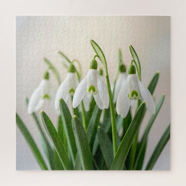 Delicate White Snowdrop Flowers Spring Bloom Jigsaw Puzzle (Vertical)