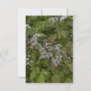 Delicate White Summer Flowers Card