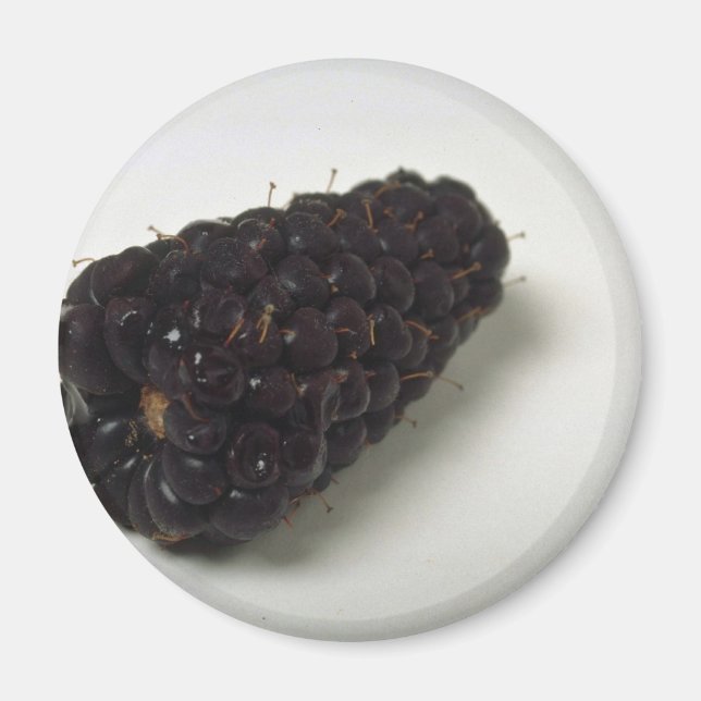Delicious Blackberry Magnet (Front)