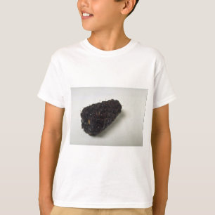 Delicious Blackberry T-Shirt