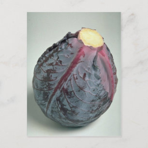 Delicious Cabbage Postcard