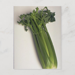 Delicious Celery stalk Postcard