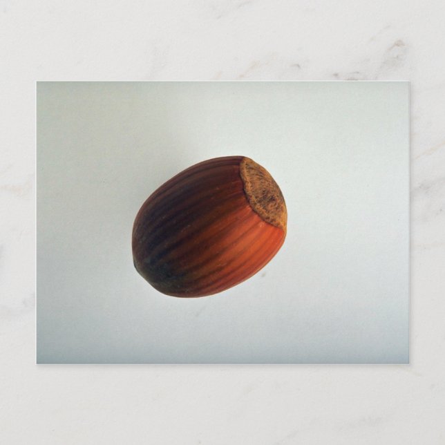 Delicious Filbert Postcard (Front)