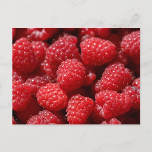 Delicious fresh and sweet red raspberries postcard (Front)