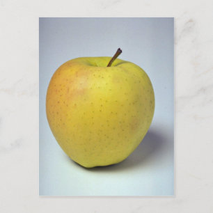 Delicious Golden Delicious apple Postcard