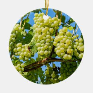 Delicious growing green grapes bunch & blue sky ceramic tree decoration