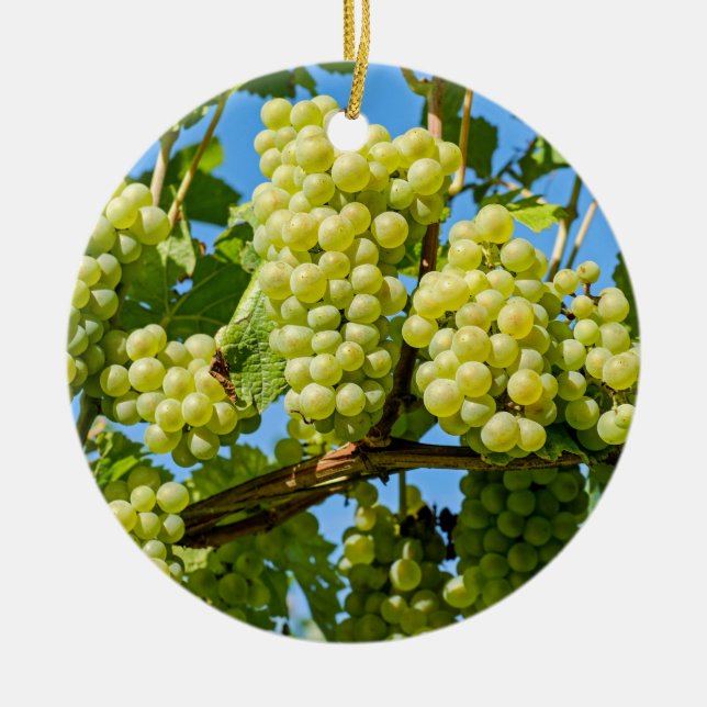 Delicious growing green grapes bunch & blue sky ceramic tree decoration (Front)