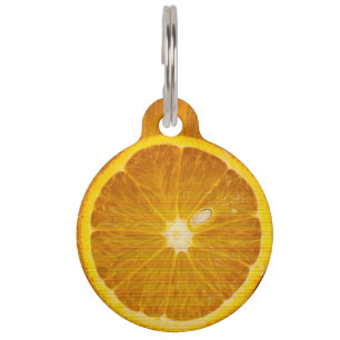 DELICIOUS ORANGE SLICE PET TAG