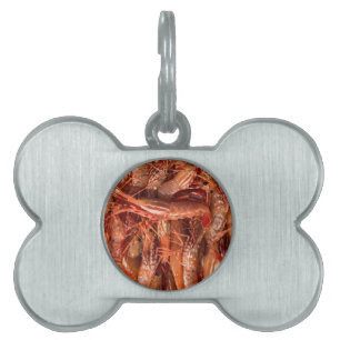 Delicious Prawns Pet ID Tag