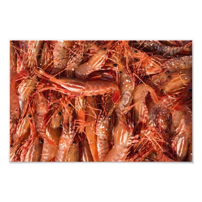 Delicious Prawns Photo Print (Front)