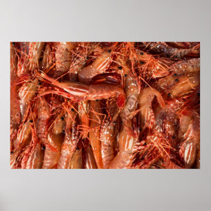 Delicious Prawns Poster
