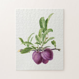 Delicious Purple Plum in a Branch Painting Jigsaw Puzzle