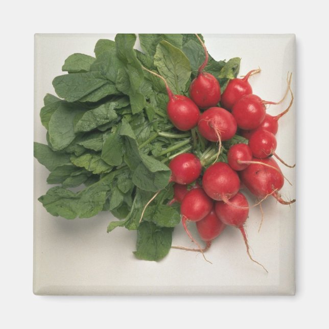 Delicious Radishes Magnet (Front)