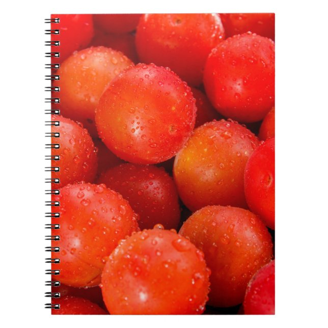Delicious red cherry-plumbackground, bowl, cherry, notebook (Front)