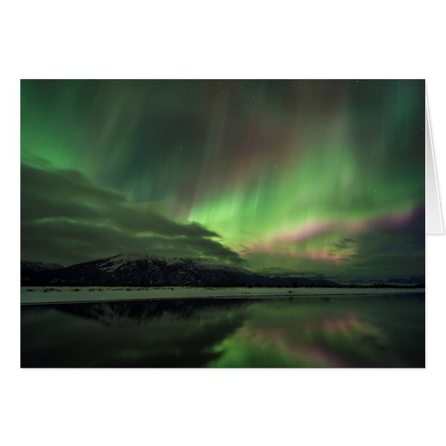 Delightful Aurora (Front Horizontal)