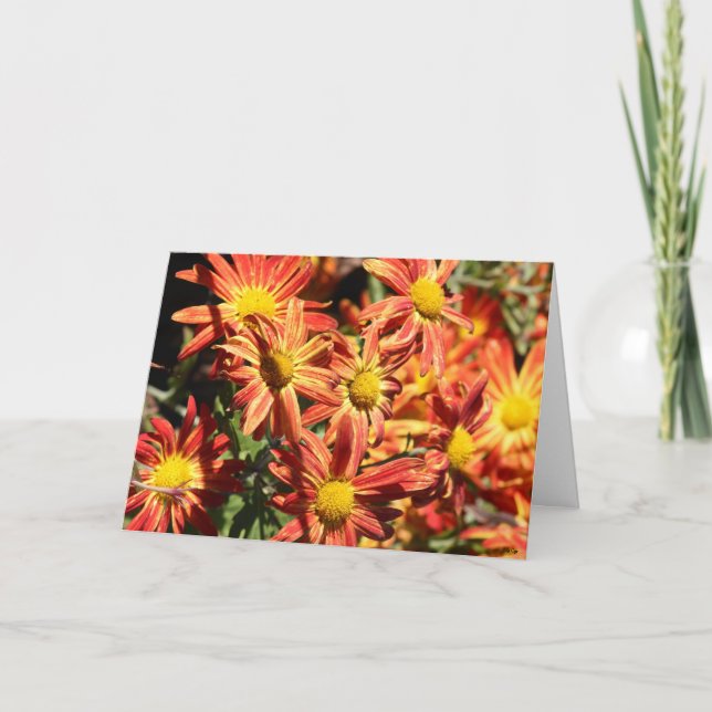 Delightful Autumn, Thinking of You Card (Front)