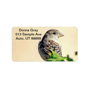 Delightful Bird Address Labels