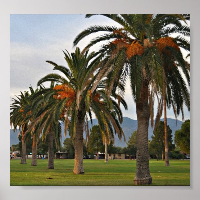 Delightful Date-trees Poster (Front)