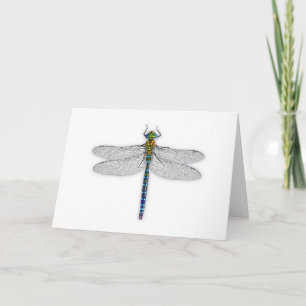 Delightful Dragonfly Card