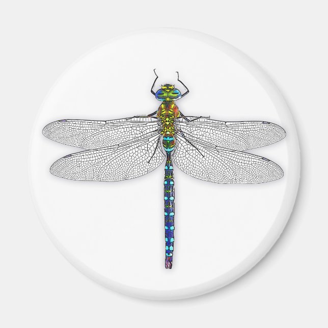 Delightful Dragonfly magnet (Front)
