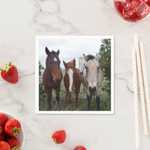 Delightful Horse Troubles, Paper Napkins