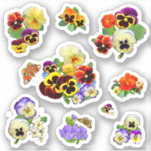Delightful Pansies Contour